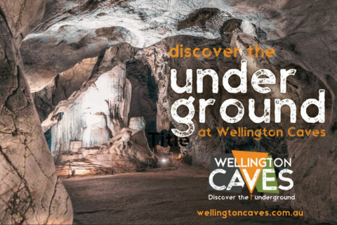 Explore Wellington Caves